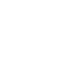 express delivery 1
